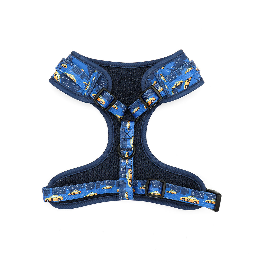 Fast Lane Harness