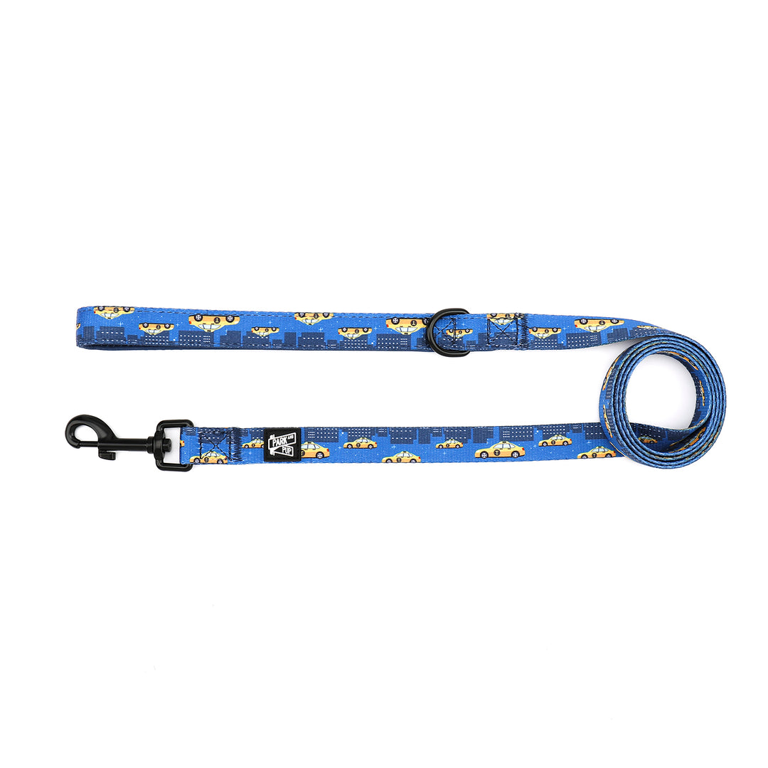 Fast Lane Leash
