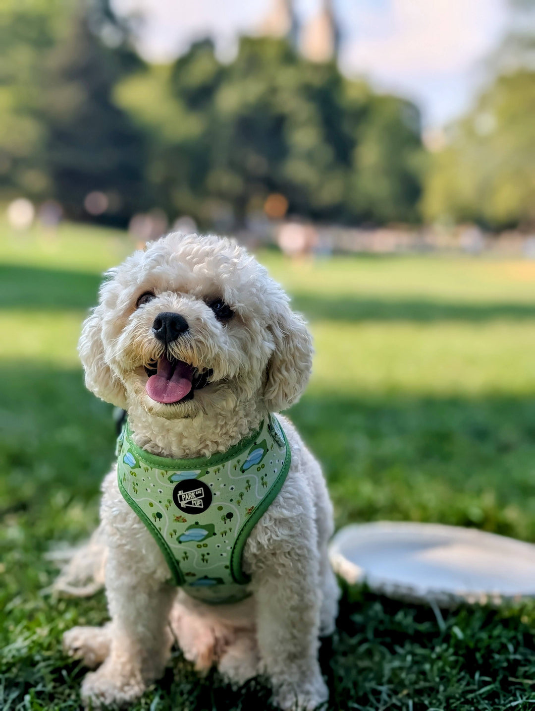 Central Bark Harness