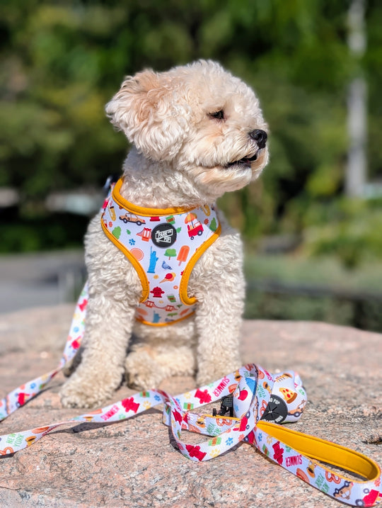 Summer In NYC Harness